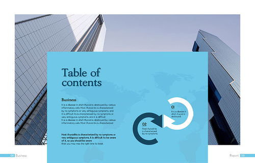 現(xiàn)代國際商務貿(mào)易企業(yè)宣傳產(chǎn)品業(yè)務科技會展畫冊設計