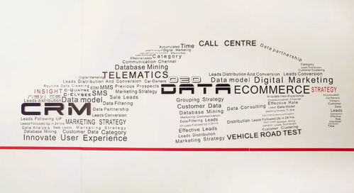 革新圖進(jìn) 商務(wù)咨詢公司摘桂神龍雙品牌電商及crm項目