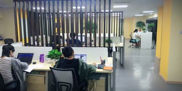 看準(zhǔn)網(wǎng)